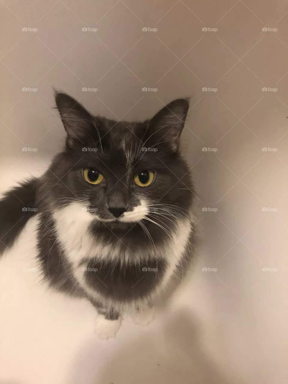 New member of family like bath 