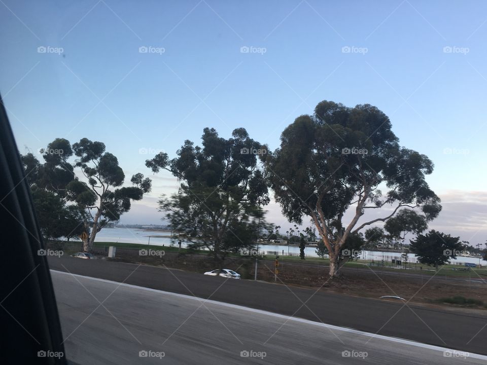 Landscape, Road, Tree, No Person, Travel