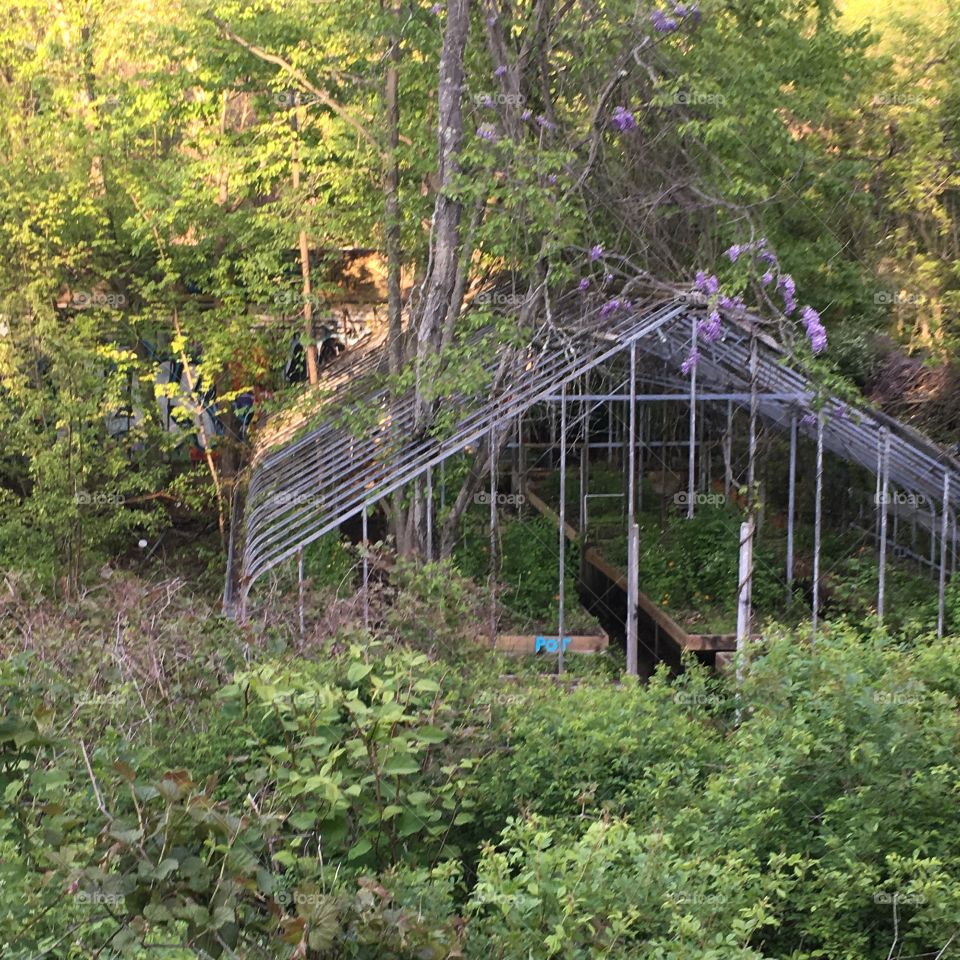 
Abandoned greenhouse 