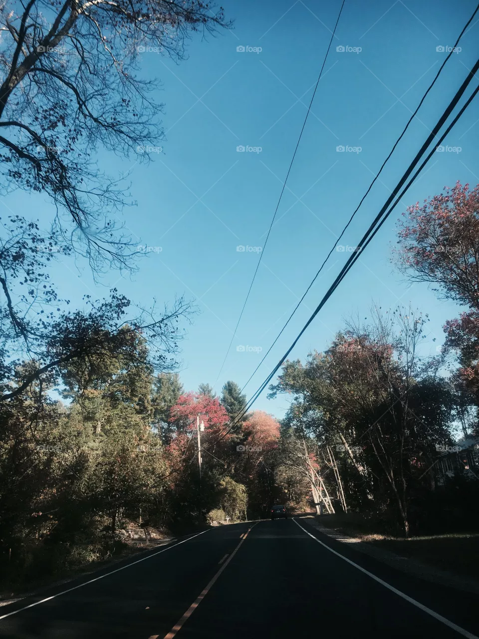 Fall 
