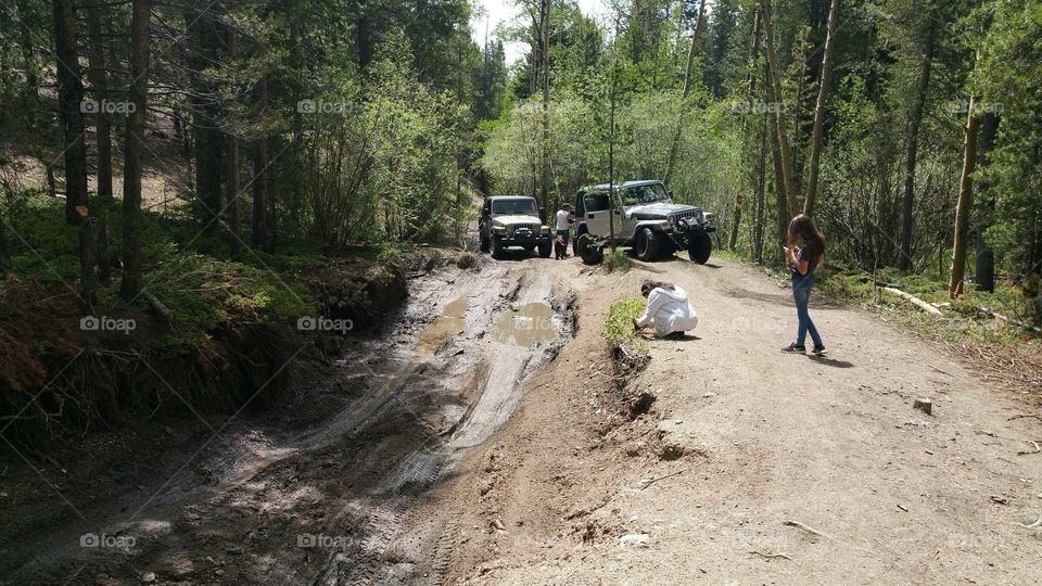 A little mud pit