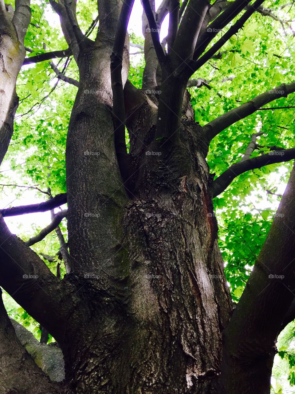 Reaching for the Sky