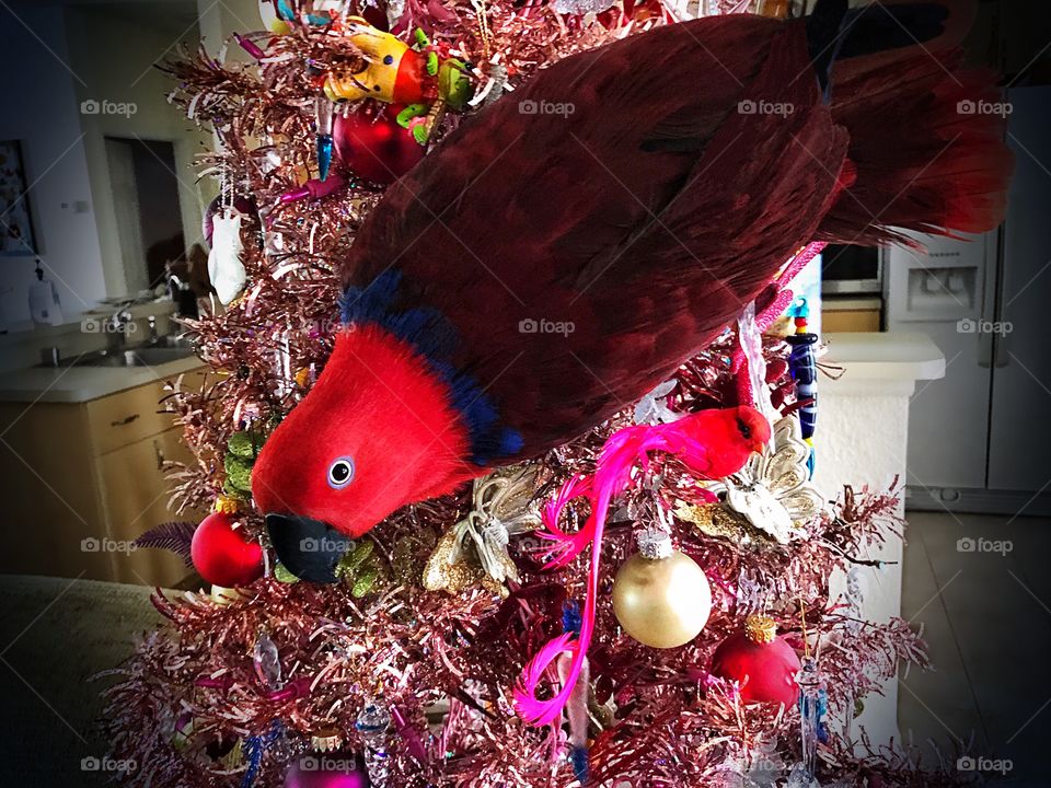 Sadie the Red Parrot lands on a pink Christmas Tree.