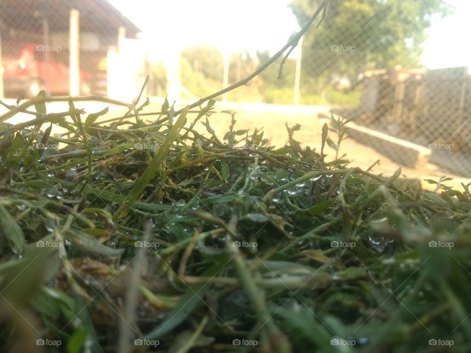 Editors' Choice - Photo of the Week!