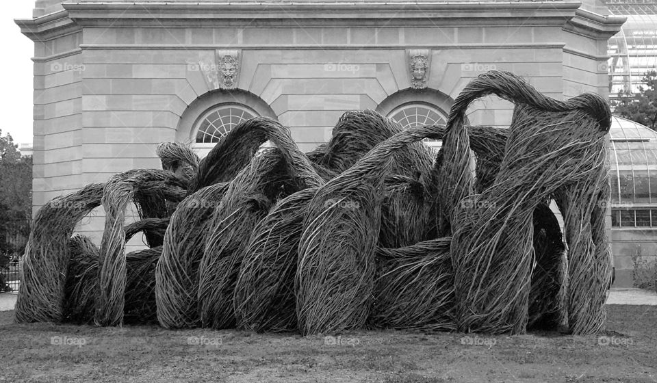 Struggle From The Soil