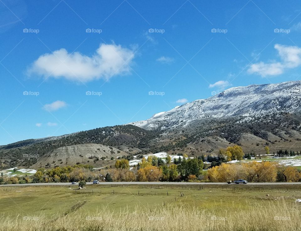 home landscape in the mountains Colorado
