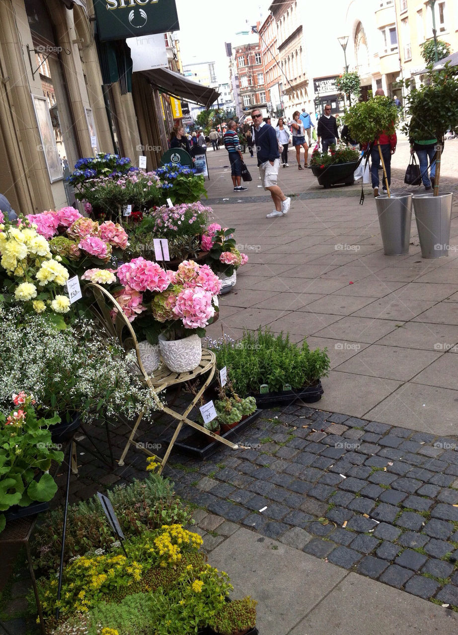 street sweden flowers summer by fabkat