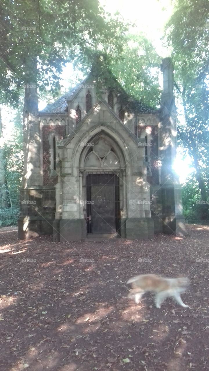 chapelle dans le bois