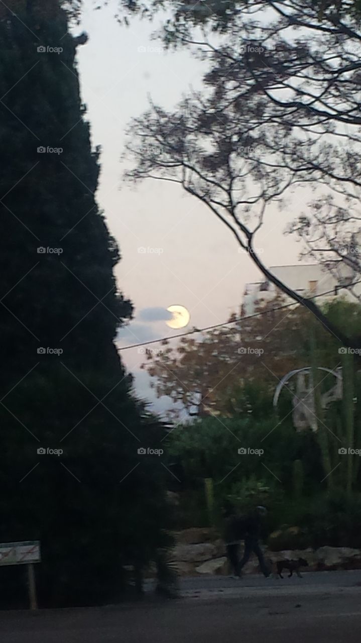 luna cielo ibiza