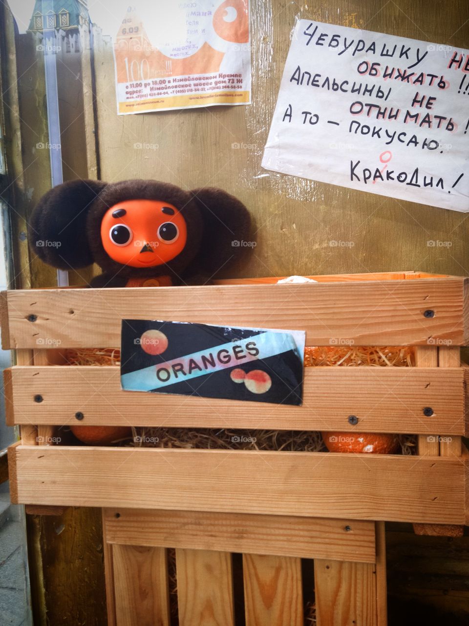 Cheburashka in a wooden box with oranges.