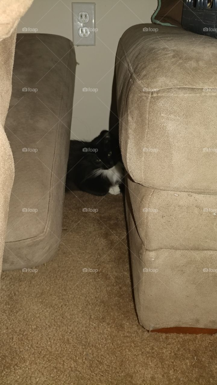 Snoopy hiding