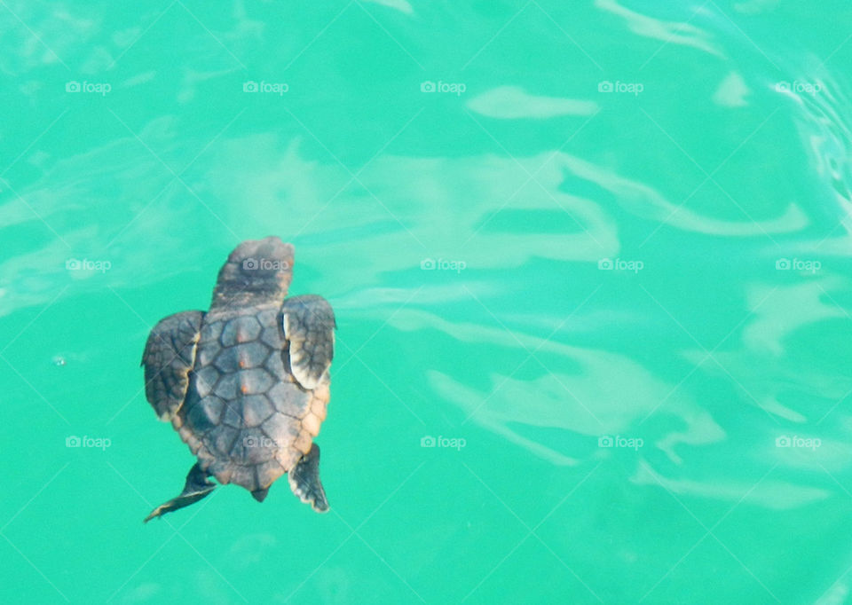 beach ocean light blue by 3rdandocean
