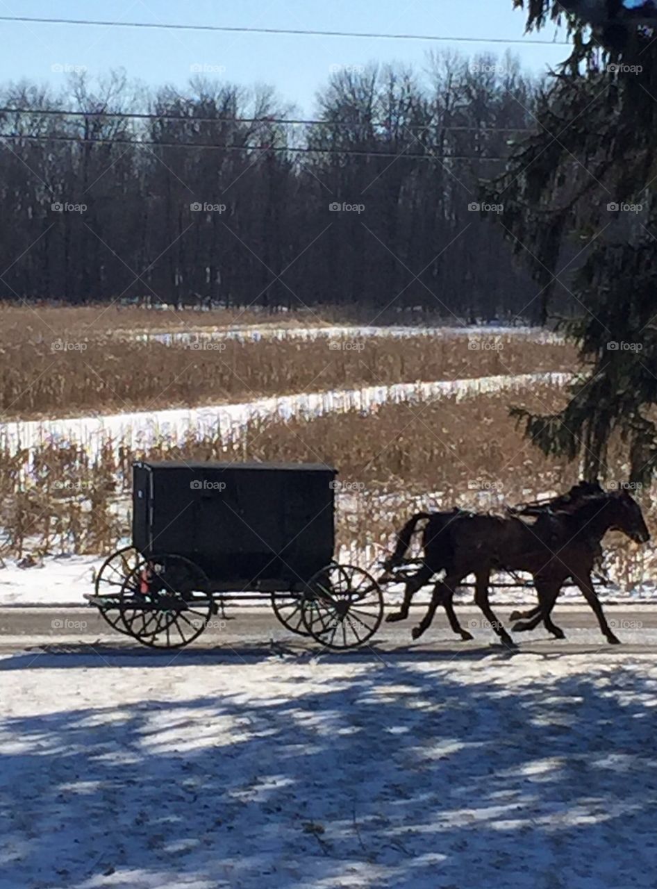 Amish buggy