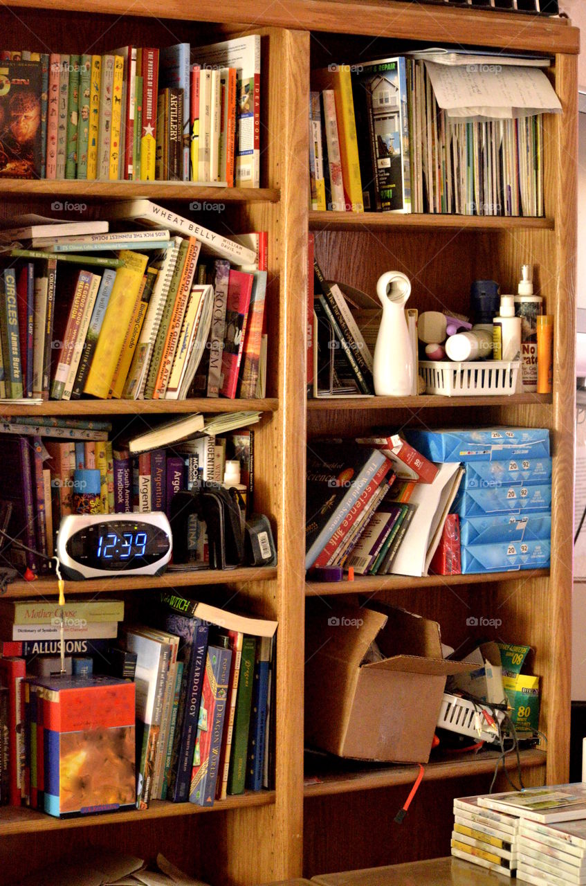 Books, cat toys and tools, games, clutter