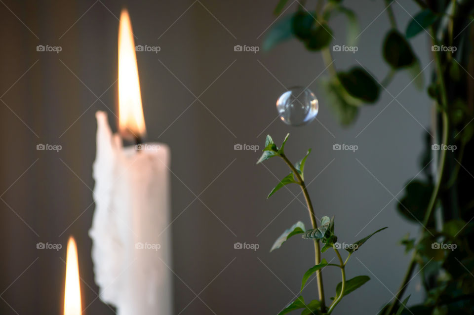 One floating bubble with white burning candle flames and growing leaves conceptual background peaceful reflection and tranquility 