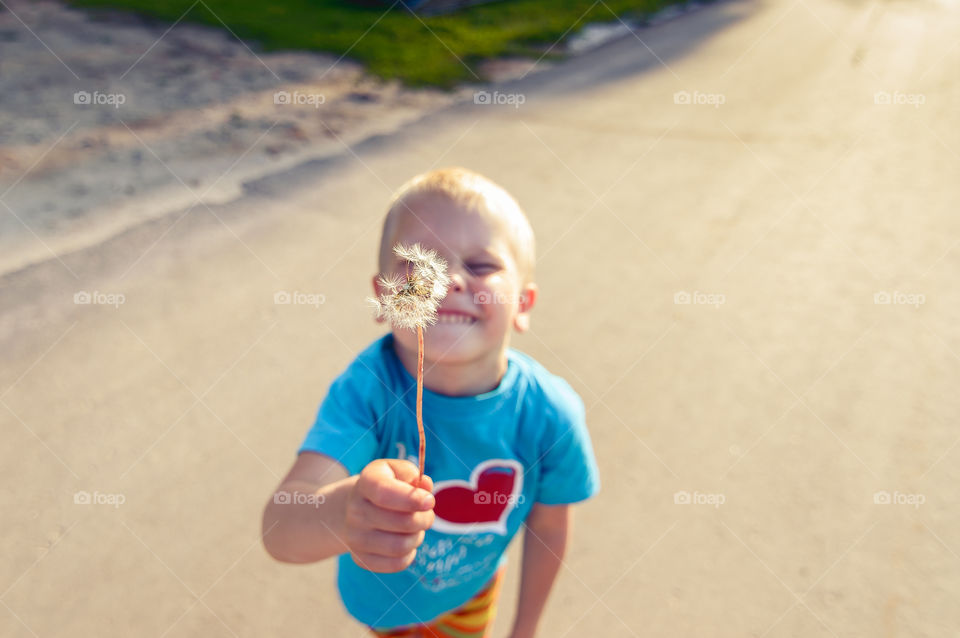 Little boy gives a dandelion