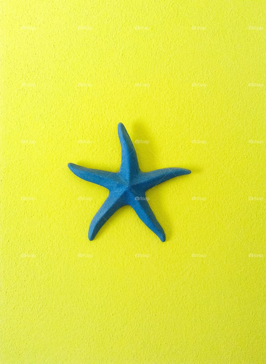 Starfish
