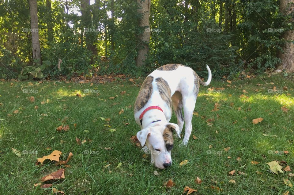 Beautiful day for a play date!