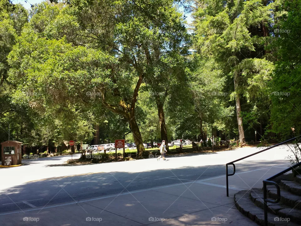 Park