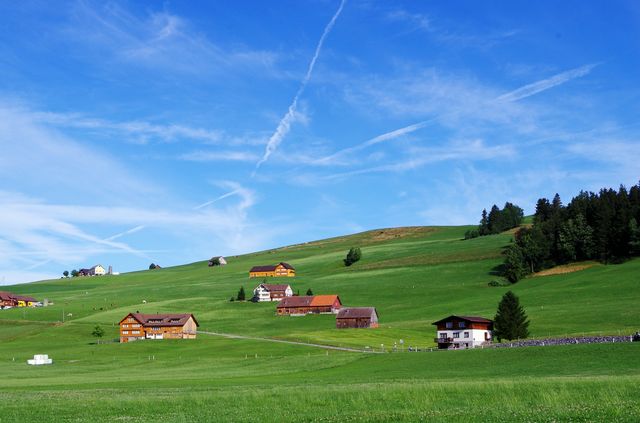 Landscape view of green pasture and houses