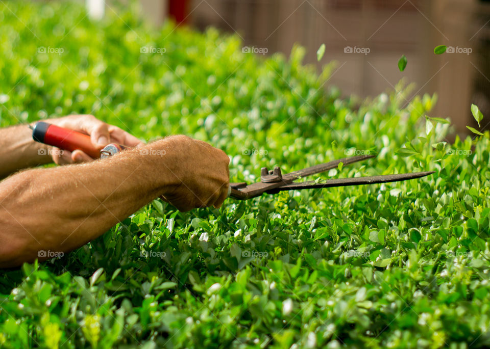 Person doing gardening using equipment