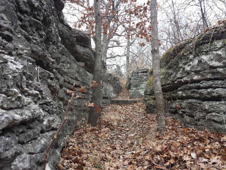 Monkey Mountain Views