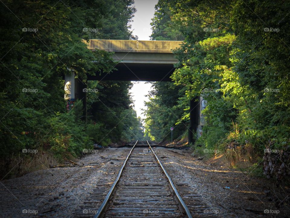 The railroad track may not be used anymore but it is still an amazing picture 