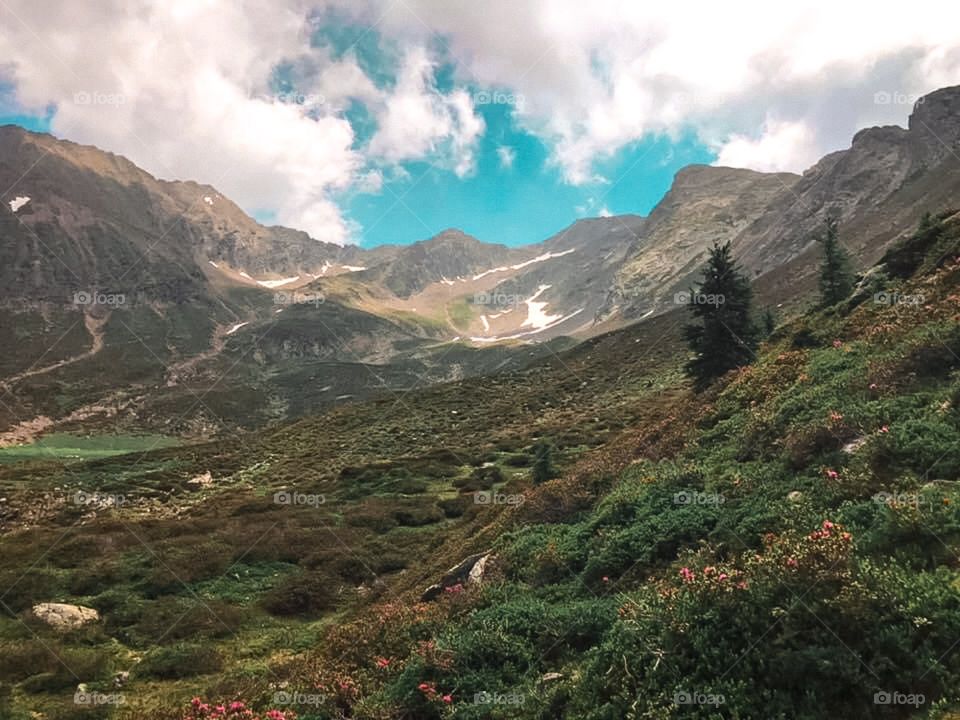 Natural landscape in the mountains , there are many bushes and flowers . There are some snowy places at the top of the mountain. Mountains view, hiking trip , top of mountain