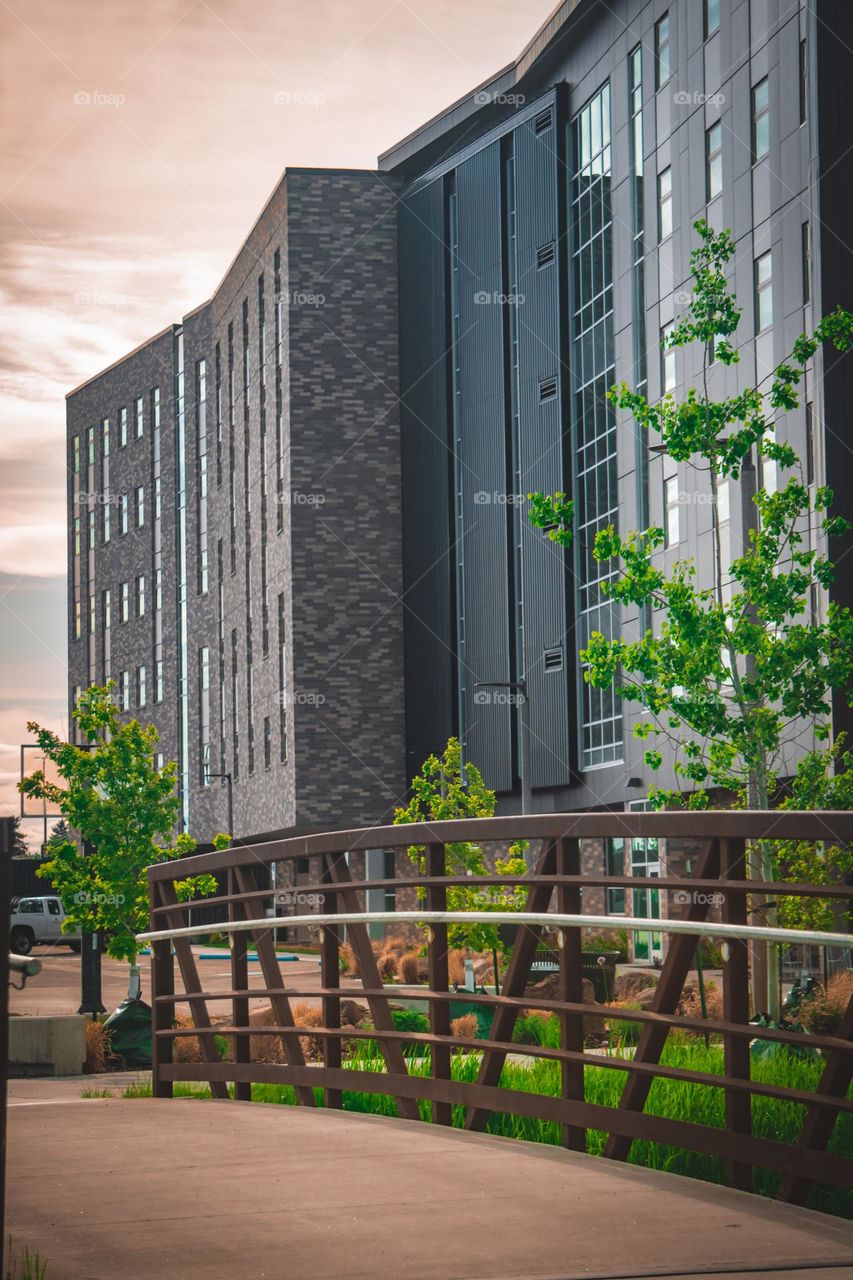 One of the main MSU buildings.