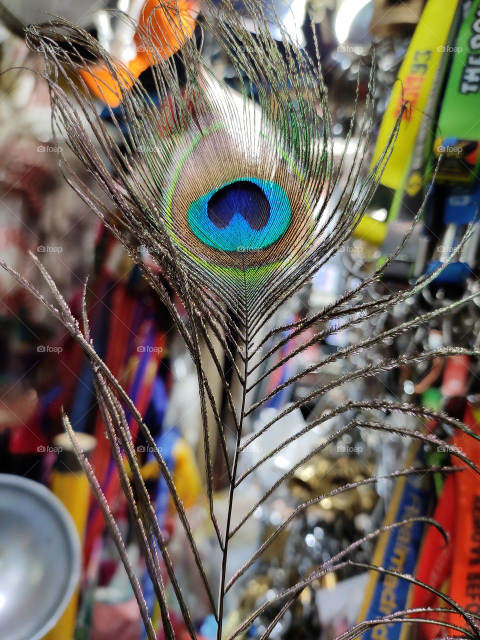 Colorful eye-catching Vibrant feather