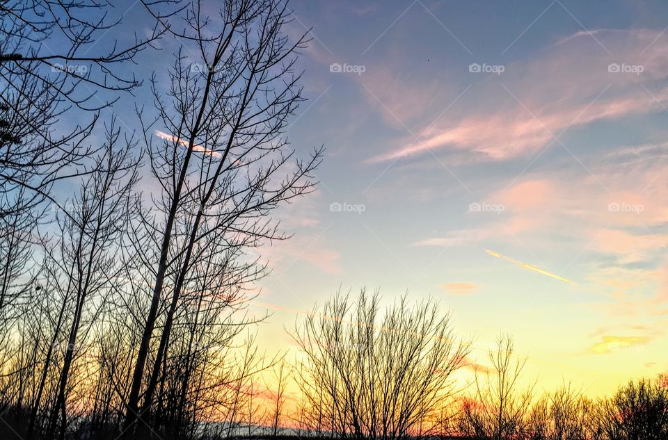 Silhouette trees against winter sunset orange pink blue gold