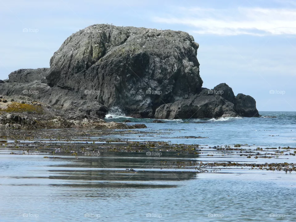 Ocean