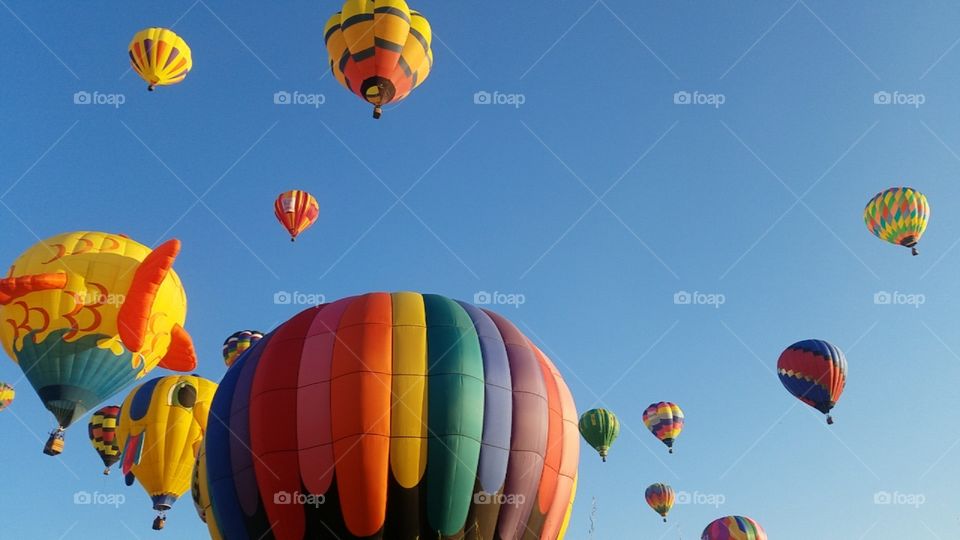 Bright, colorful hot air balloons flying in a clear blue sky