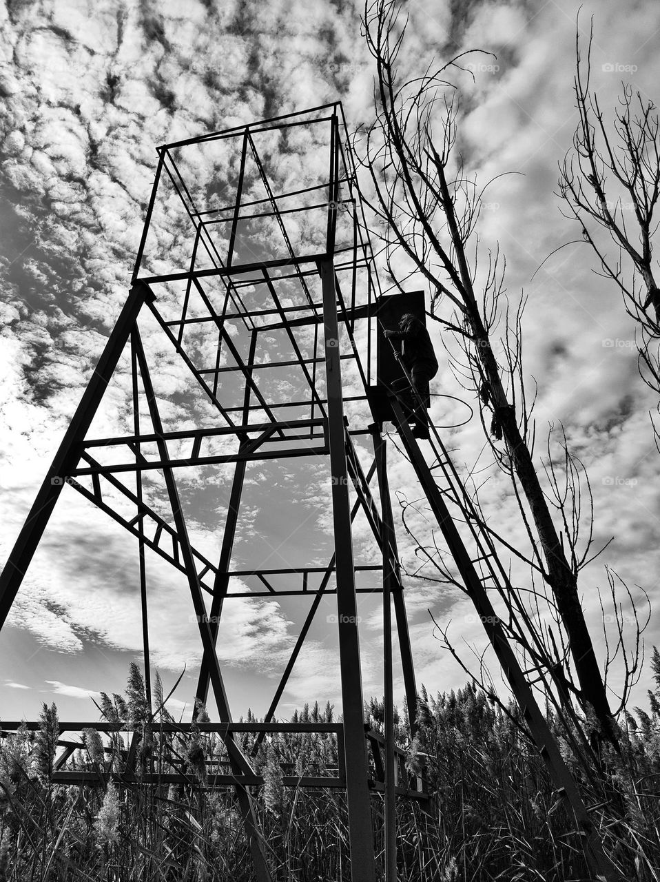 A photo of an old abandoned metal construction in the middle of a marsh field surrounded by plants, trees and a cloudy sky, with a person climbing up its steps all captured in black and white