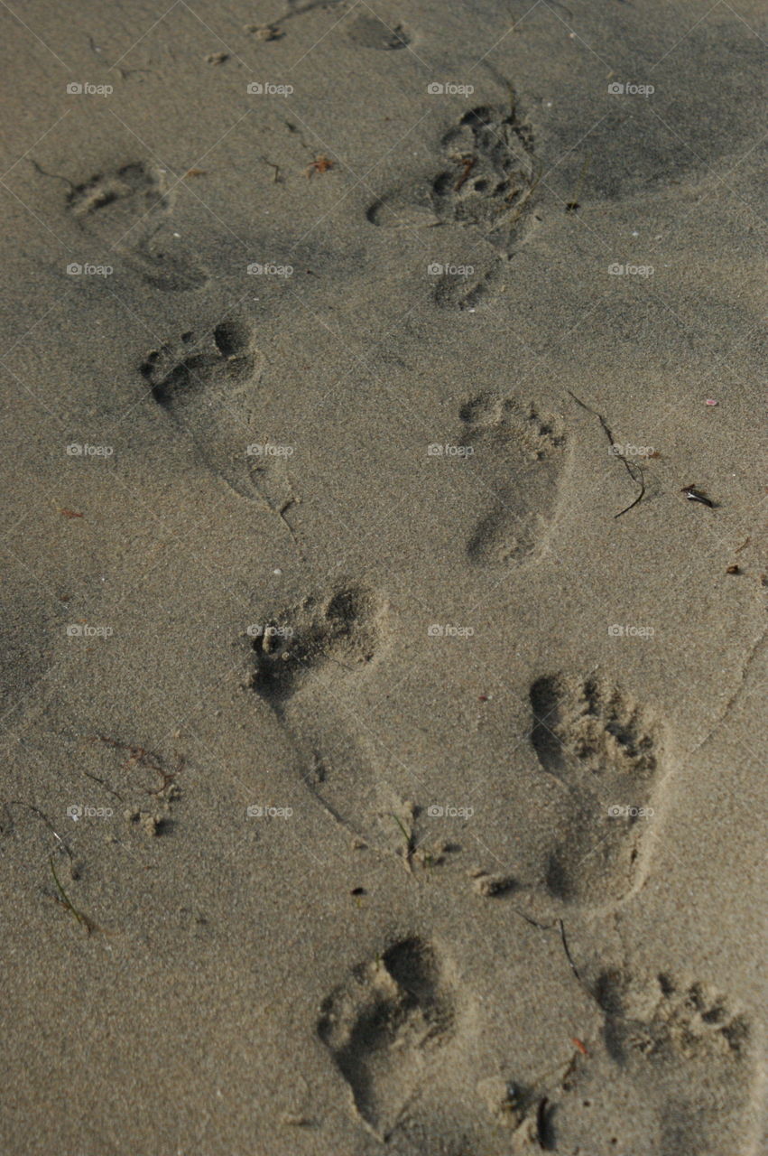 Footprints in wet sand 