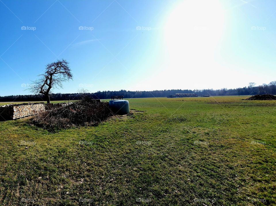 countryside-- green field