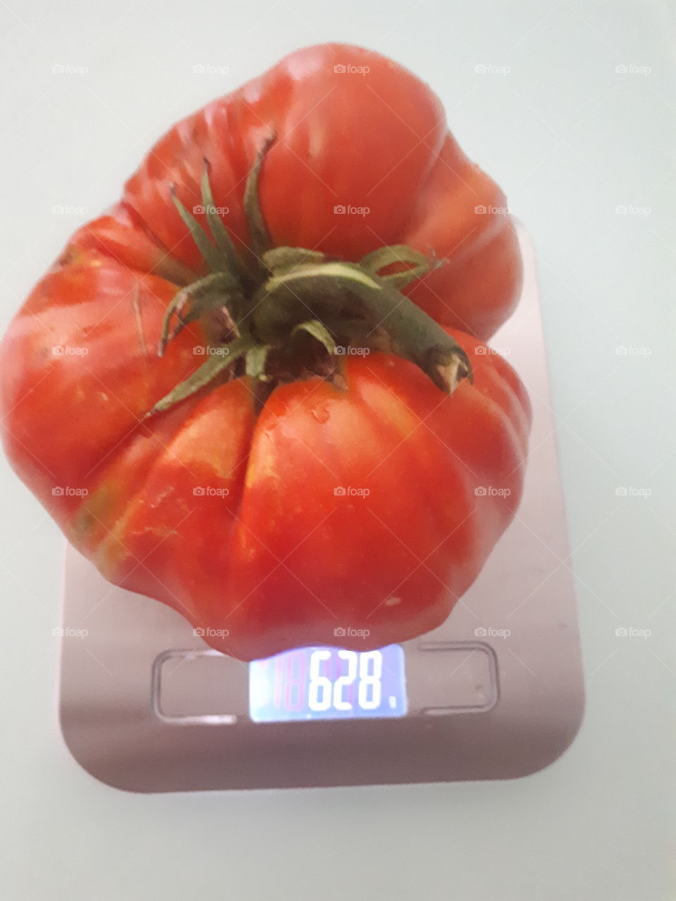 tomato from my garden
