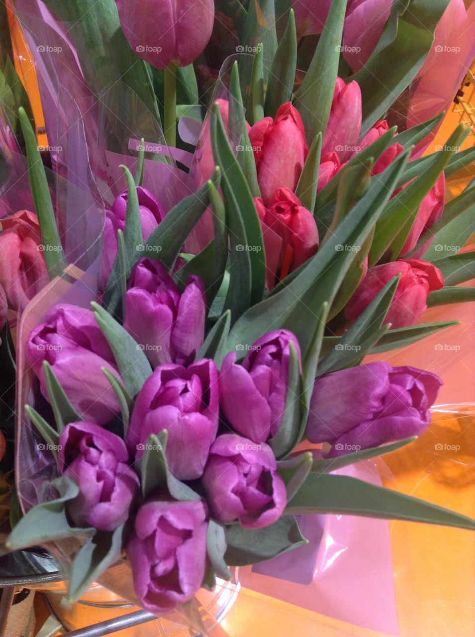 Tulips