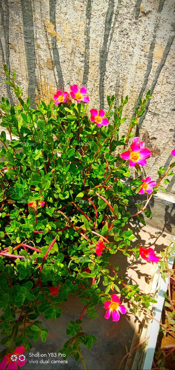 #foap #infoapartemen #foapjuly18 #foapaug18 #foapfeb18 #foapapril17 #foapers #foapjune18 #fotografoaprendiz #sfoapprentices #foaper #infoapartment #foapmission #foapmay18 #foapapr18 #foapit #infoaplikasipaytren #infoapple #foapom #foapjan19 #infoapp 