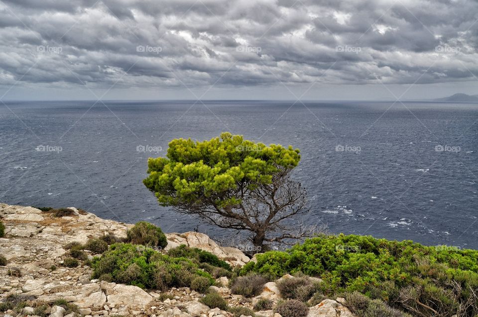 Water, Sea, Landscape, Seashore, Nature