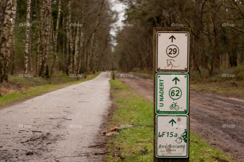 Bicycle path in the forest