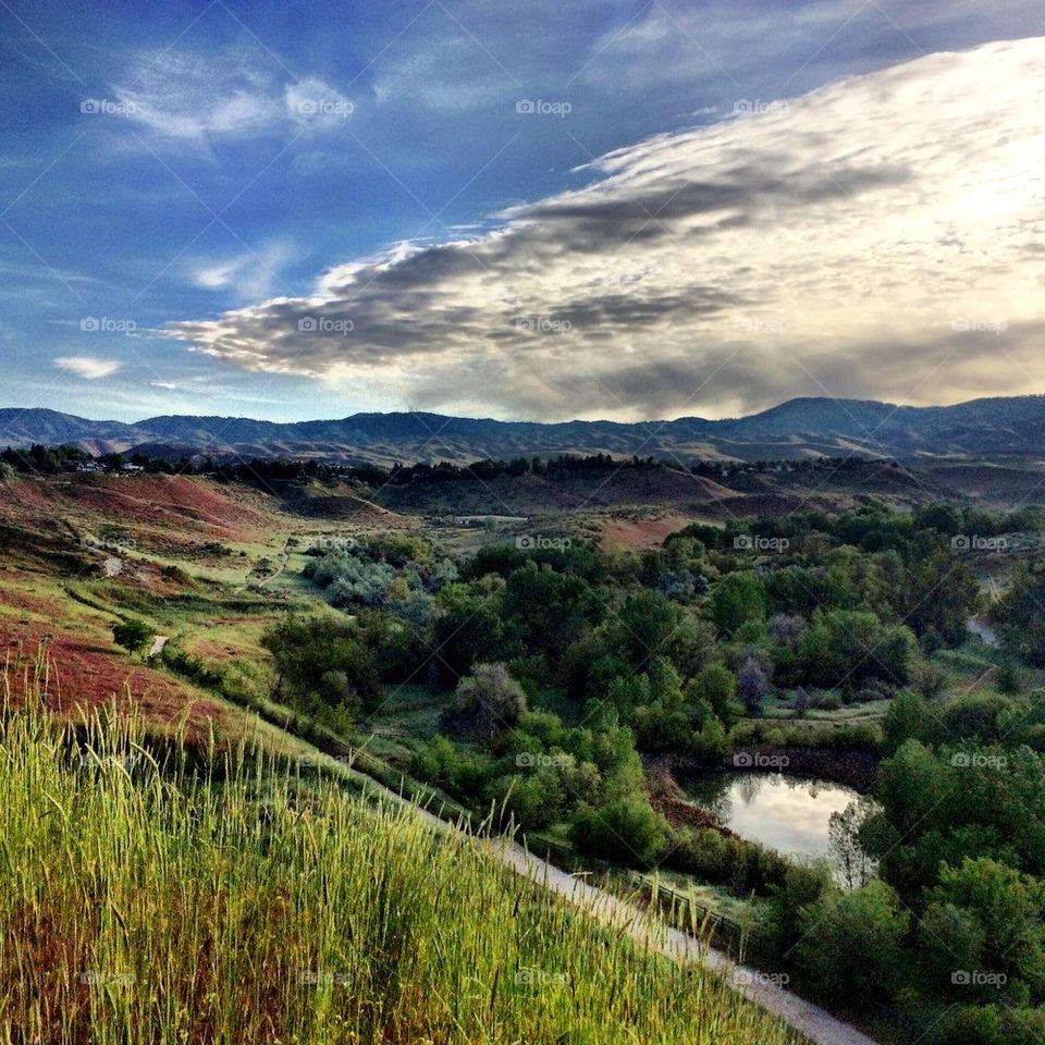 Scenics view of trees and mountain