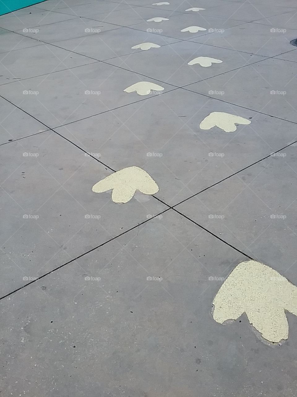 trail of footprints