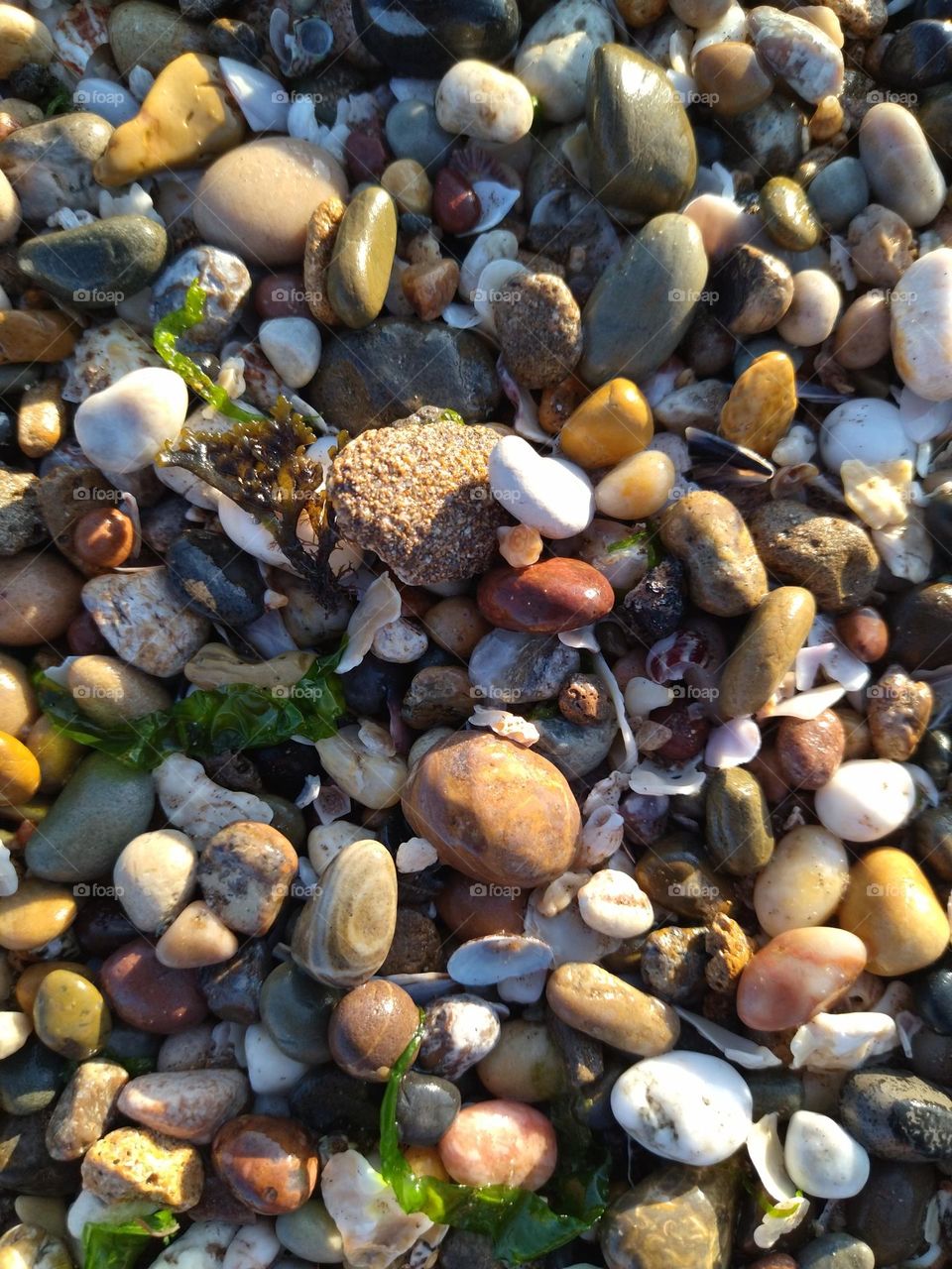 pebbles and beauty