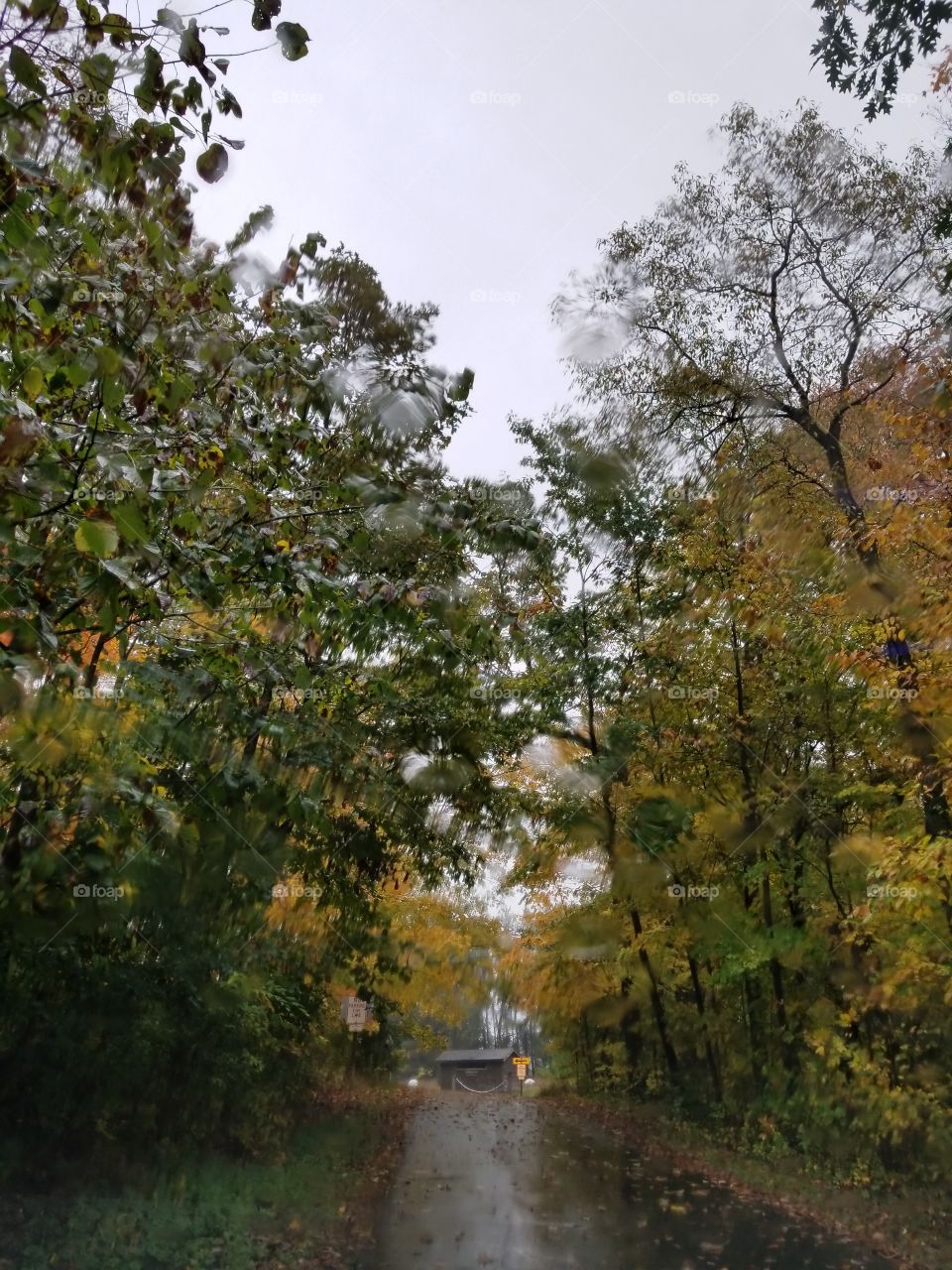 A Rainy Autumn Day Through A Raindrop Covered Windshield.