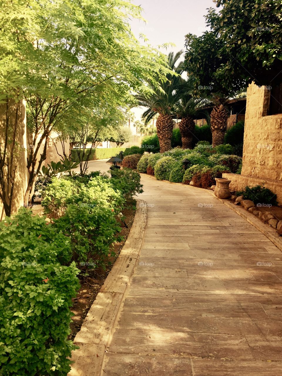 Stone path between tropical foliage