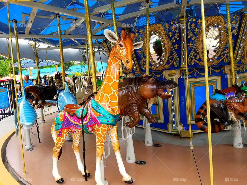 carousel