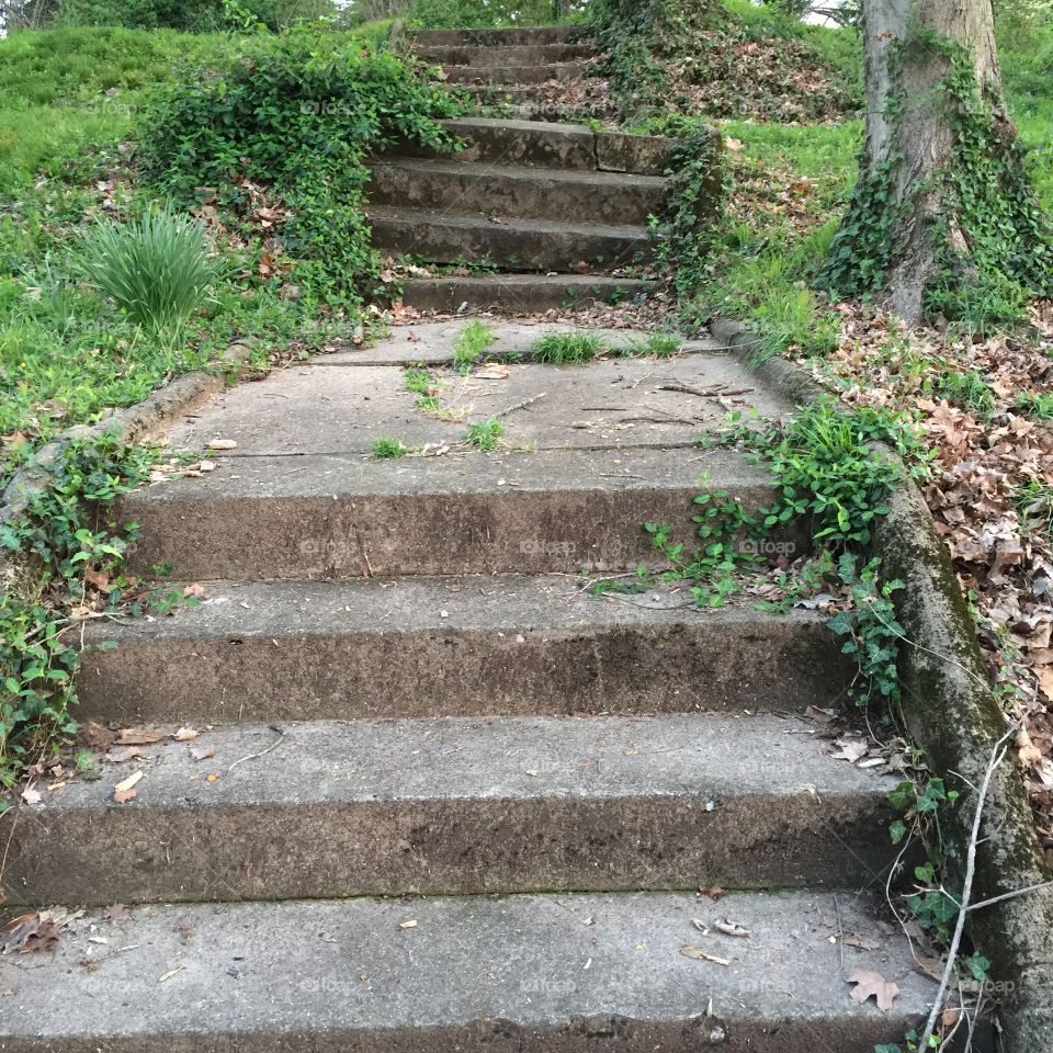 Stair stare. Steps to a demolished home in downtown Frankfort, Kentucky