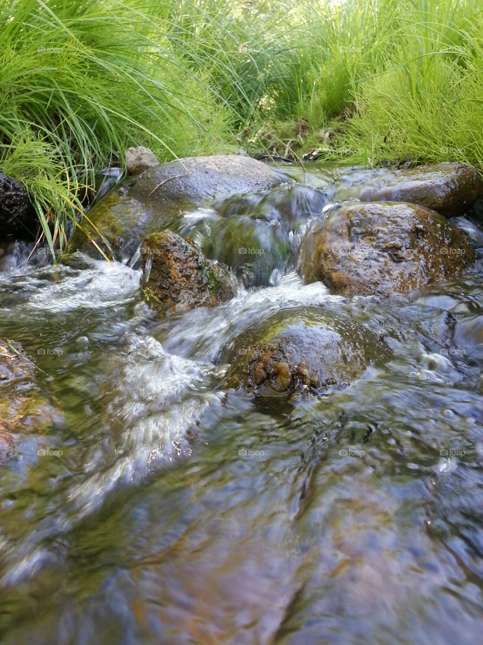 nature creek in Sedona Arizona
