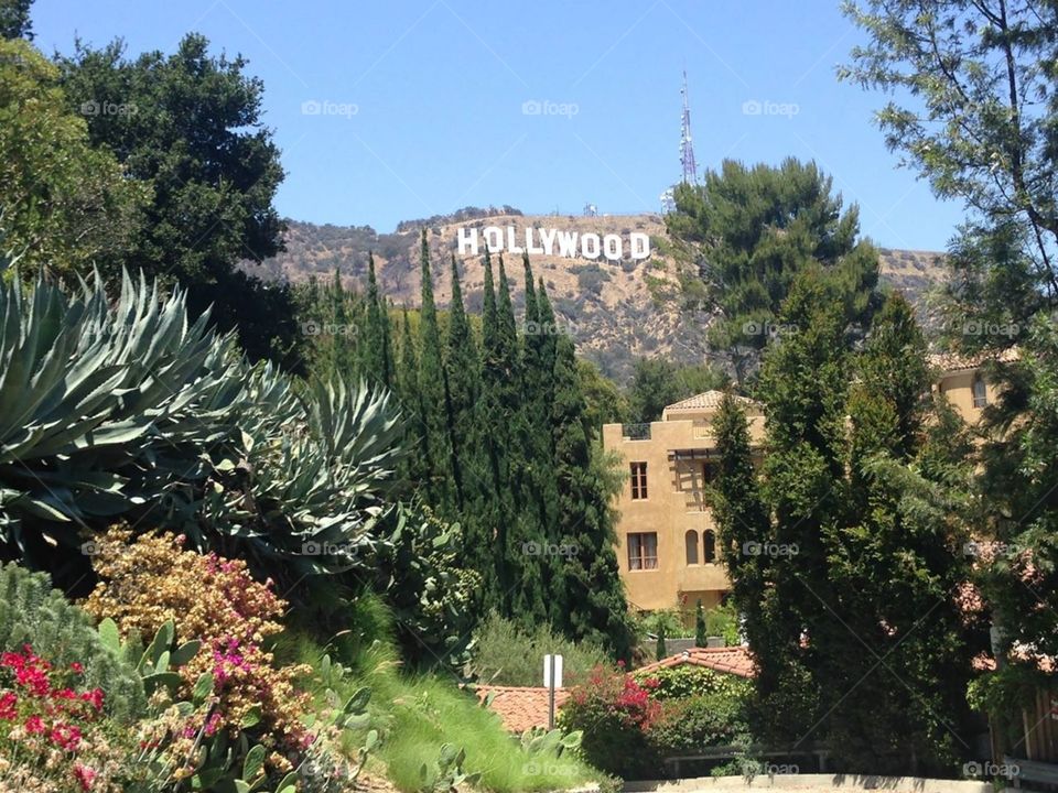 Hollywood